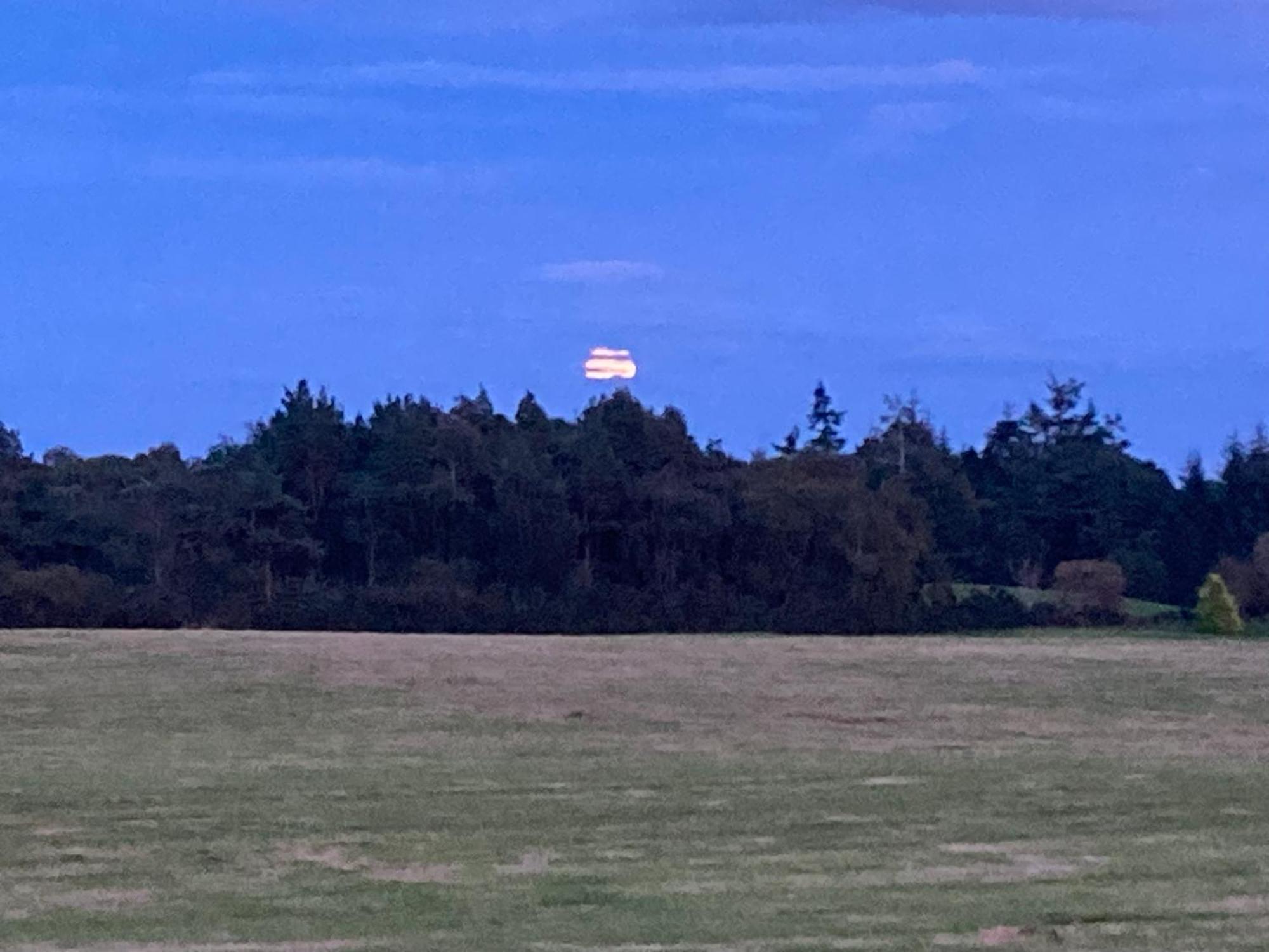 Clashmore Wood Dornoch Eksteriør bilde