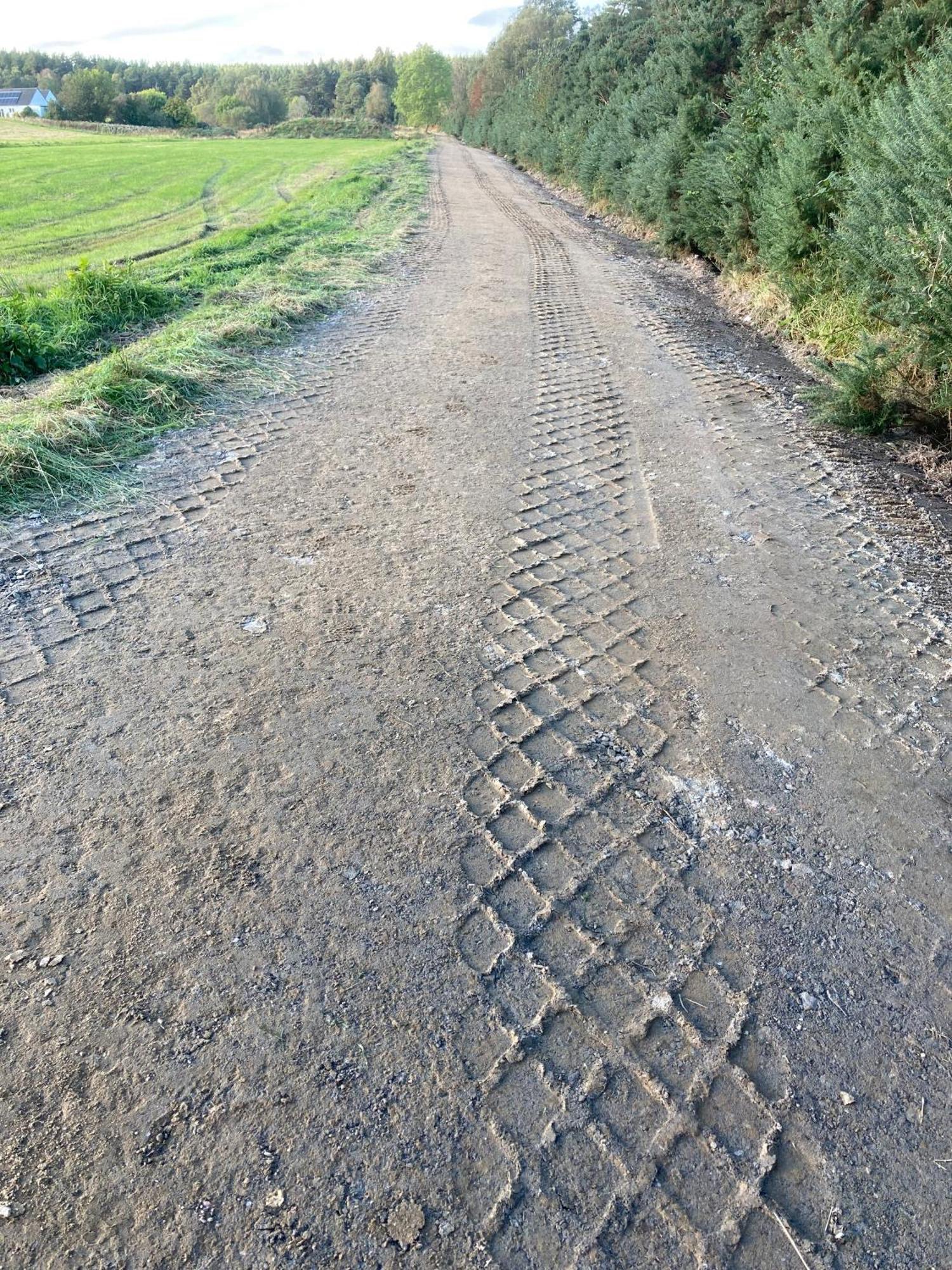 Clashmore Wood Dornoch Eksteriør bilde