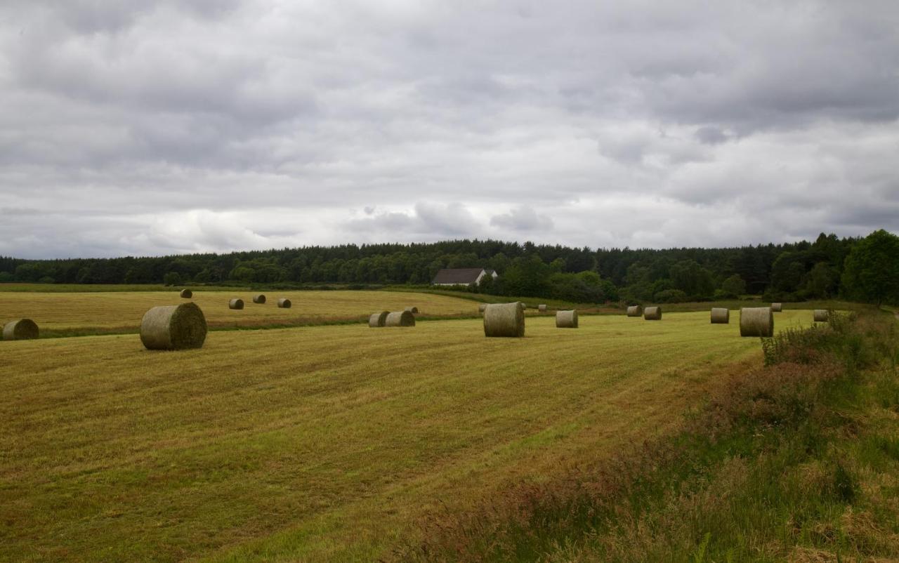 Clashmore Wood Dornoch Eksteriør bilde