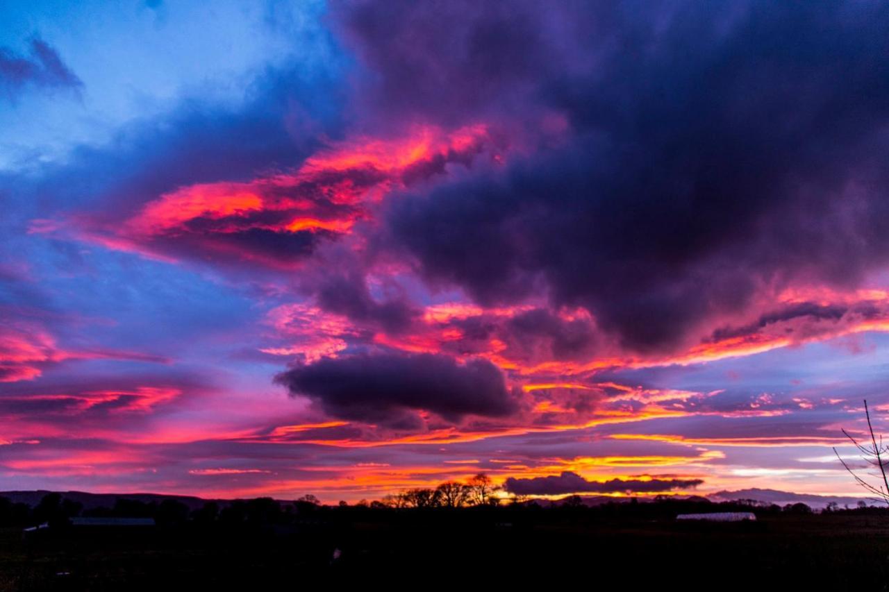 Clashmore Wood Dornoch Eksteriør bilde